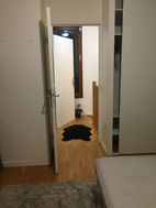 Photo n°5
