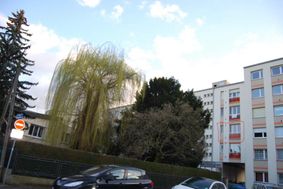 Photo n°1