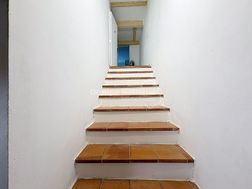 Photo n°7