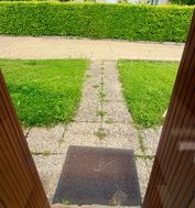 Photo n°8