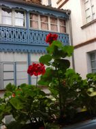 Photo n°1