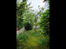 Photo n°8
