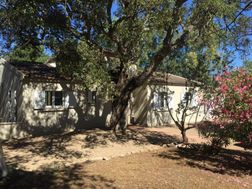Photo n°5