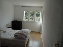 Photo n°3