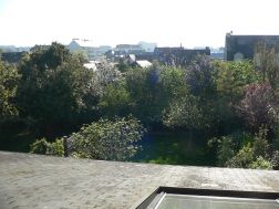 Photo n°5