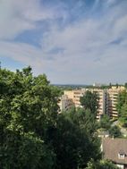 Photo n°1