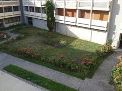 Photo n°6