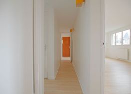 Photo n°3
