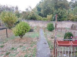 Photo n°16