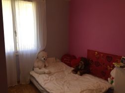 Photo n°6