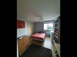 Photo n°1