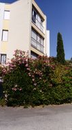 Photo n°3