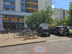 Photo n°2