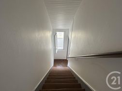 Photo n°7