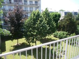 Photo n°1
