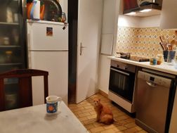 Photo n°2