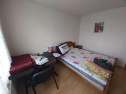 Photo n°6