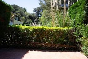 Photo n°2