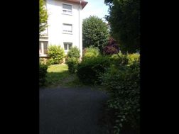 Photo n°4