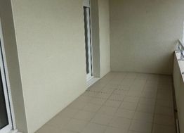 Photo n°6