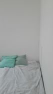 Photo n°4