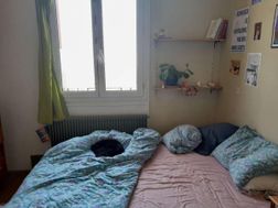 Photo n°15