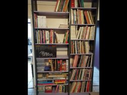 Photo n°7