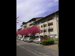 Photo n°1
