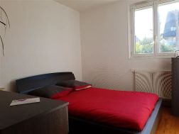 Photo n°5