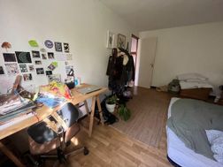 Photo n°5