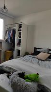 Photo n°3
