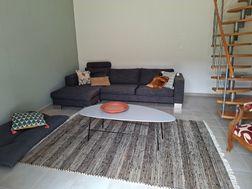 Photo n°6