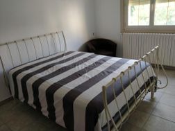 Photo n°6