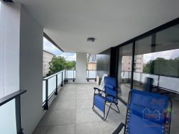 Photo n°6