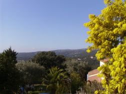 Photo n°4