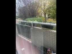 Photo n°6