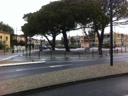 Photo n°1
