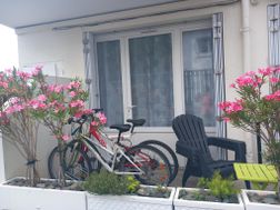 Photo n°1
