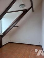 Photo n°6