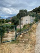 Photo n°1