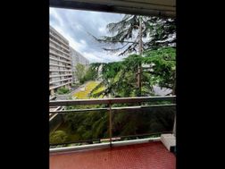 Photo n°2