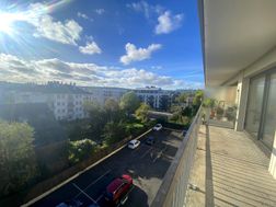 Photo n°6