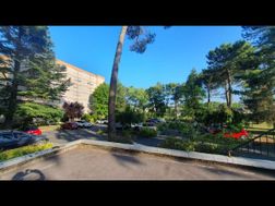 Photo n°2