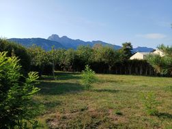 Photo n°5