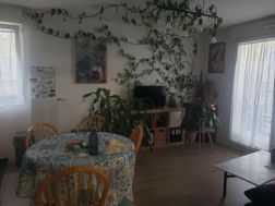 Photo n°3