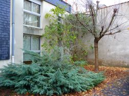 Photo n°6