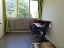 Photo n°4