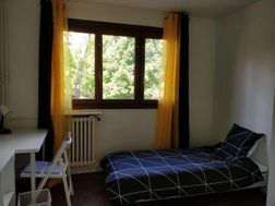 Photo n°2