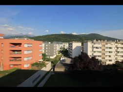 Photo n°5