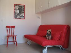 Photo n°1